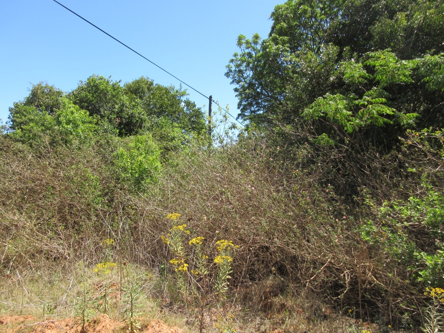 0 Bedroom Property for Sale in Bathurst Eastern Cape